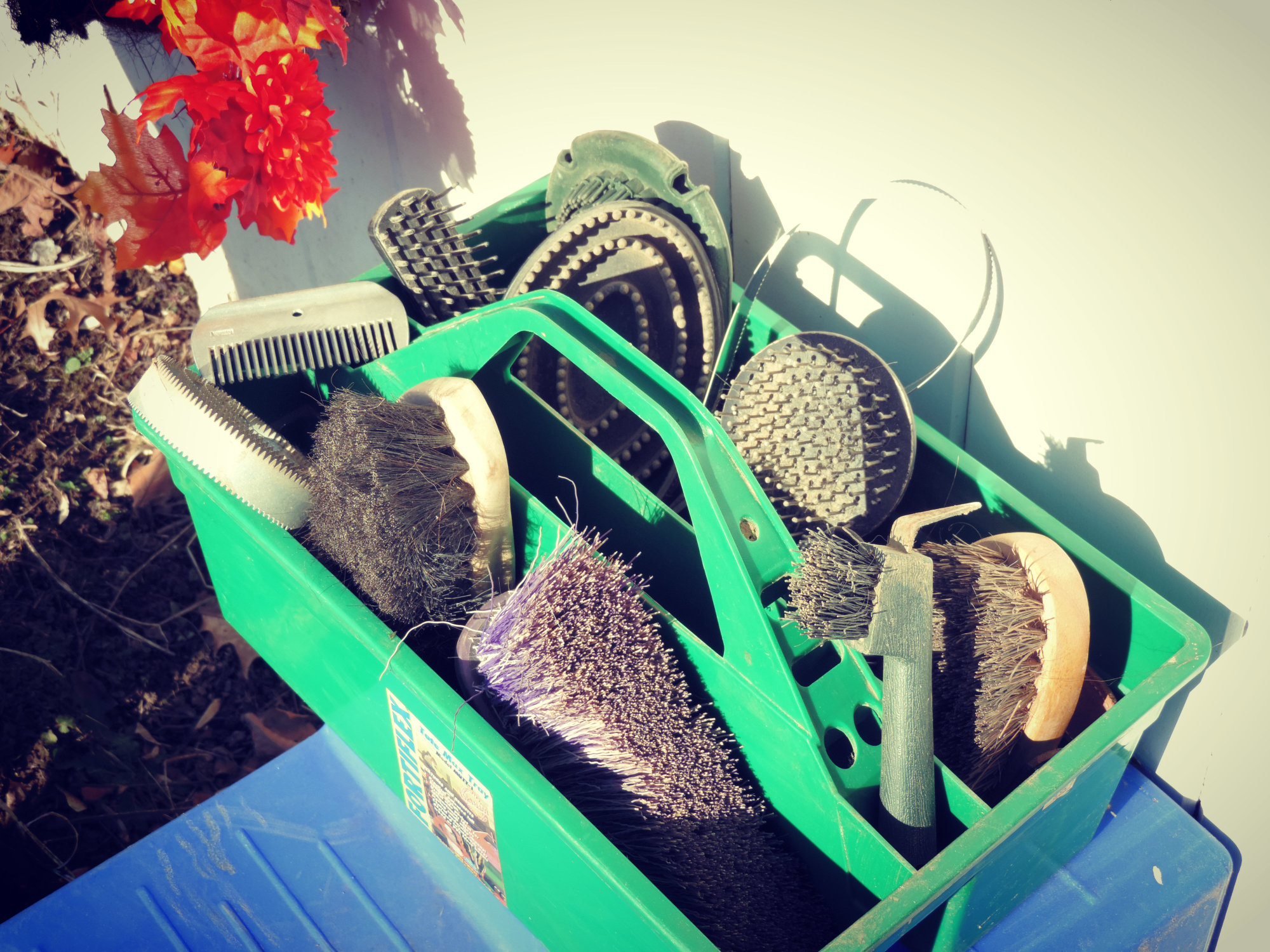 Typical Grooming Box - FULL of brushes